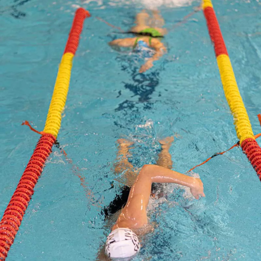 Stationary Swim Lane Belt 4 Stationary Swim Lane Belt - Image 4