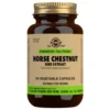 Solgar SFP Horse Chestnut Seed Extract 60 Units